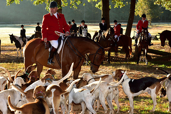 Shakerag Opening Hunt 2014