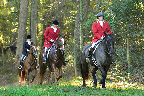 Shakerag Opening Hunt 2014