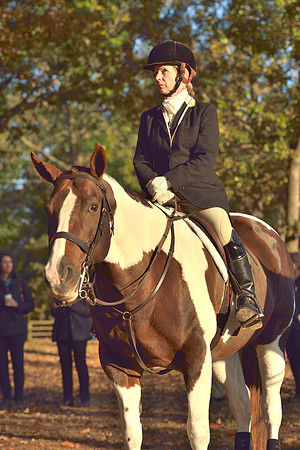 Shakerag opening Hunt 2015