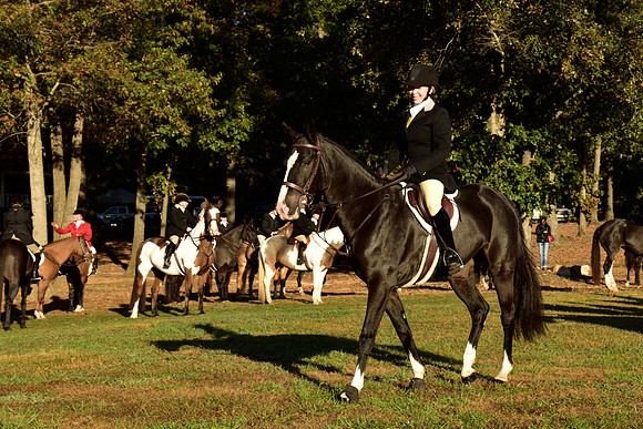 Shakerag Opening Hunt 2014