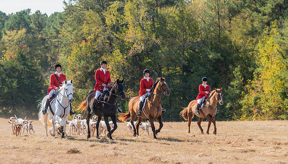 Belle Meade_228103_11-5-2016