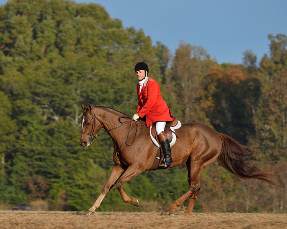 Shakerag opening Hunt 2015